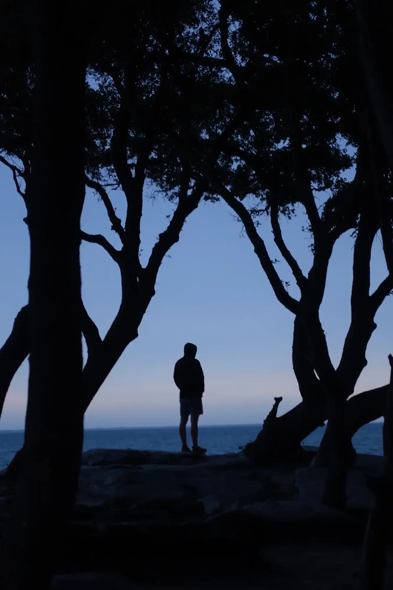 Estéban during a sunset between trees in front of the sea.