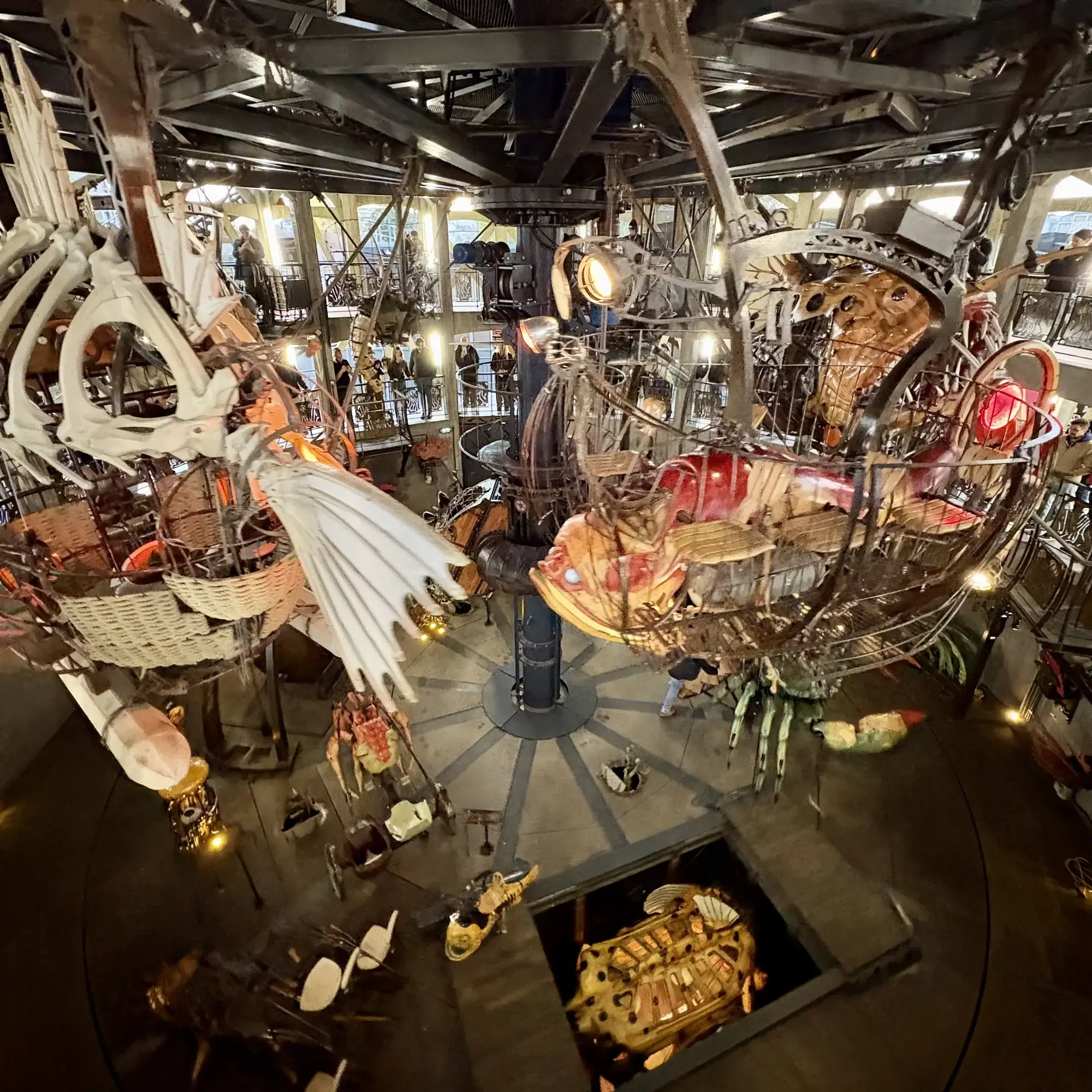 Carrousel of the Marine Worlds